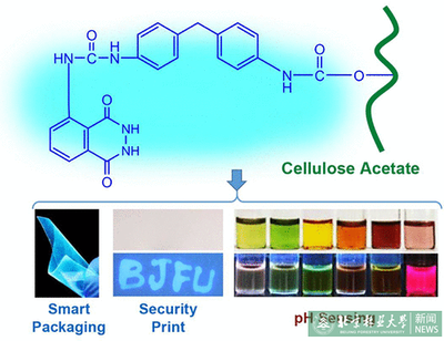 材料学院科研团队在纤维素基荧光材料领域取得新进展