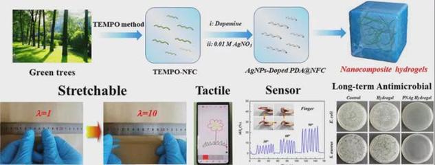 四川大学杜宗良教授团队在生物质基柔性传感材料方向取得研究进展