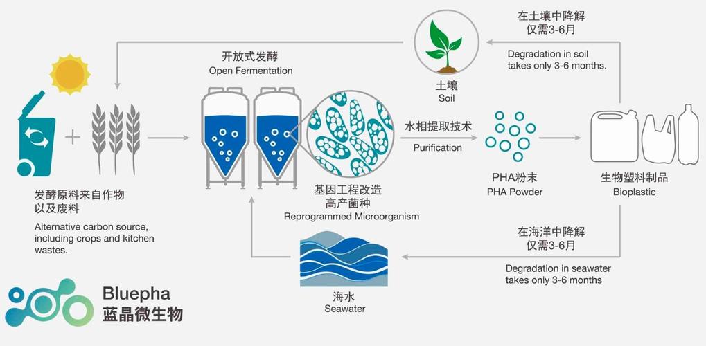 打通产 教 研,蓝晶实验室让合成生物学的"梦工厂"走进学校