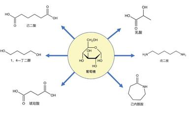 生物合成学产业化加速器,为新的制造方式加速度