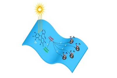 我校成功研制一种高效生物材料基光催化剂