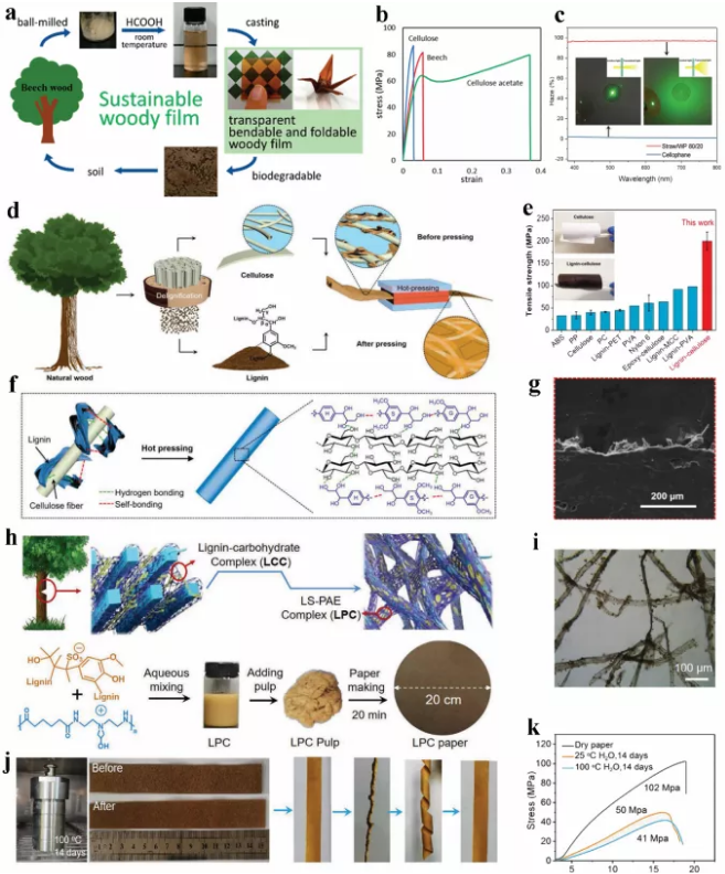 green chemistry综述:先进,多功能木质素基生物降解复合膜材料助力可