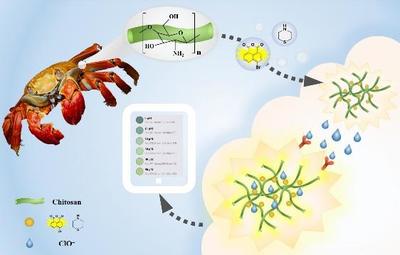 我校生物质基功能复合材料创新团队取得系列新成果